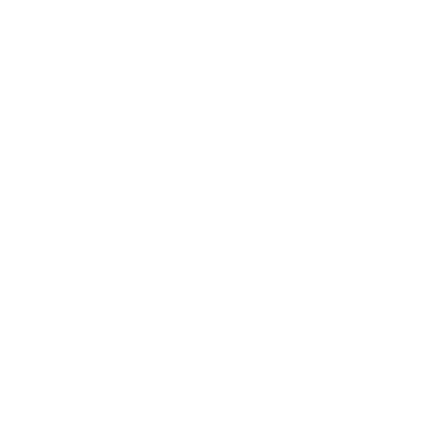 THE IFE GEORGE EXPERIENCE