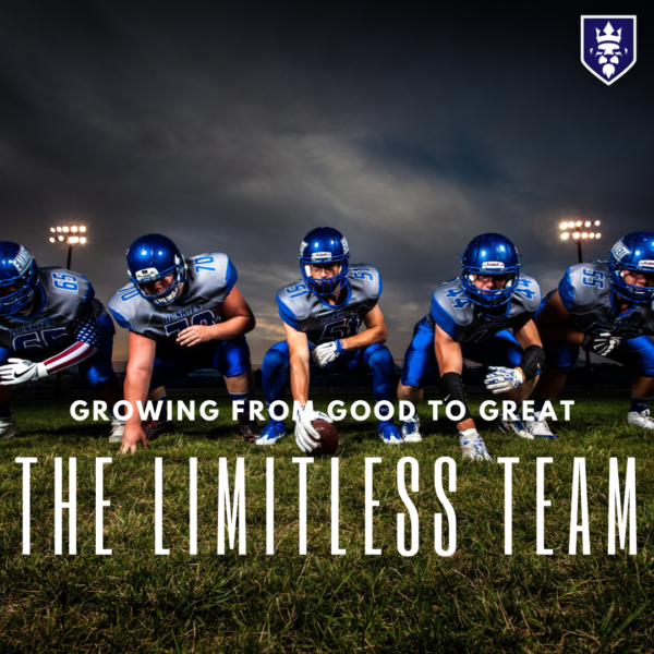 The Limitless Organisation